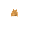 Eurasier
