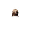 Briard