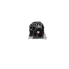 Schapendoes