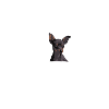 PRAGER RATTLER