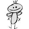 Mr Fly