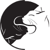 Yin Yang Katze