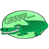 crocodile Alligator
