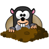 Animal Animals Mole