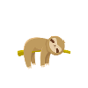 Faultier2