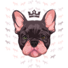 bouledogue français