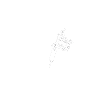 TATTOO HEART BEAT