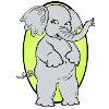 Elephant Elephant Circus