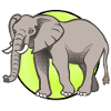 Elephant Elephant Circus