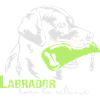 Labrador né pour récupérer