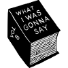 What_i_was_gonna_say