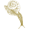 Brown snail