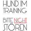 Training Hund
