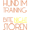 Training Hund