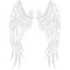 angelwingschoosen