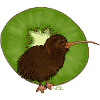 Kiwi ²