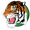 Lion Tiger Leopard predator