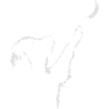 dog moon