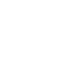 Der Plattenleger