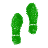 Green Grass Steps