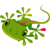 a gecko