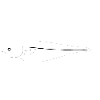 Seelachs_vollformat_weiss