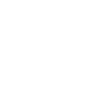 PIT BULL