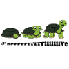 Tortoises