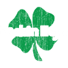 Irish Fecking Eejit