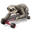 SLOTH ON SKATEBOARD