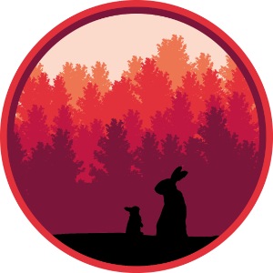 Hasen Kaninchen Wald Sonnenaufgang Bäume