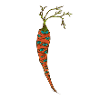 EyeCarrot