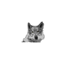 TSCHECHOSLOWAKISCHER WOLFHUND GLITZER