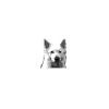 WEISSER SCHÄFERHUND GLITZER