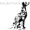 Dalmatian