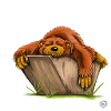 Chile out-Bär