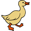 goose