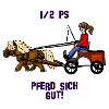 Pferd sich gut