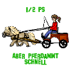 Pferdammt schnell
