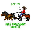 Pferdammt schnell