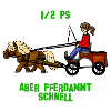 Pferdammt schnell