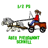 Pferdammt schnell