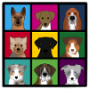 new 3 x 3 dogs