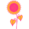 Sunflower pink