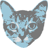 cat face