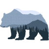 Forest Bear