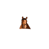 Mecklenburger