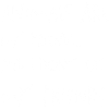 Animals are my Friends