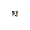 Australian Shepherd Glück