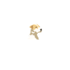 PARSON RUSSELL TERRIER Glück